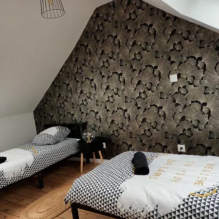 Maison Stacheul*gare/centre*wifi *